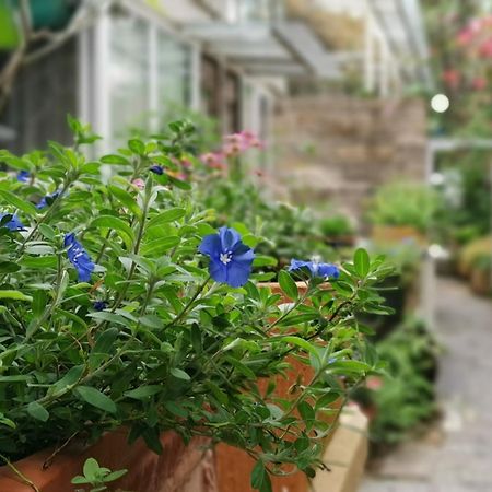 Shenzhen No'6 Garden Villa --French Window With Garden View,Close To Sea World &Shekou Ferry Port &K11 Ecoast &Subway Nearby ,Offer Western Food And Coffee &English Speaking With Tour Services Экстерьер фото