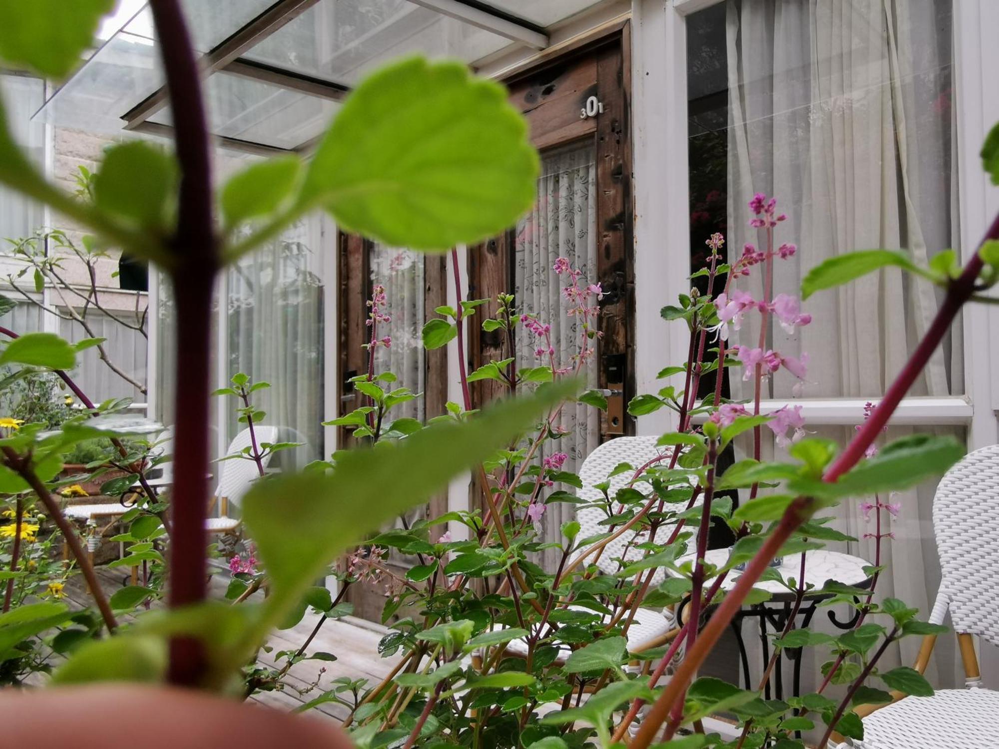 Shenzhen No'6 Garden Villa --French Window With Garden View,Close To Sea World &Shekou Ferry Port &K11 Ecoast &Subway Nearby ,Offer Western Food And Coffee &English Speaking With Tour Services Экстерьер фото